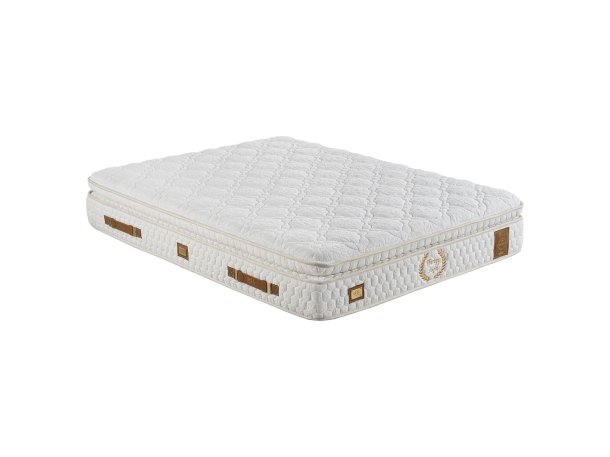 THERAPY SOFT BETT