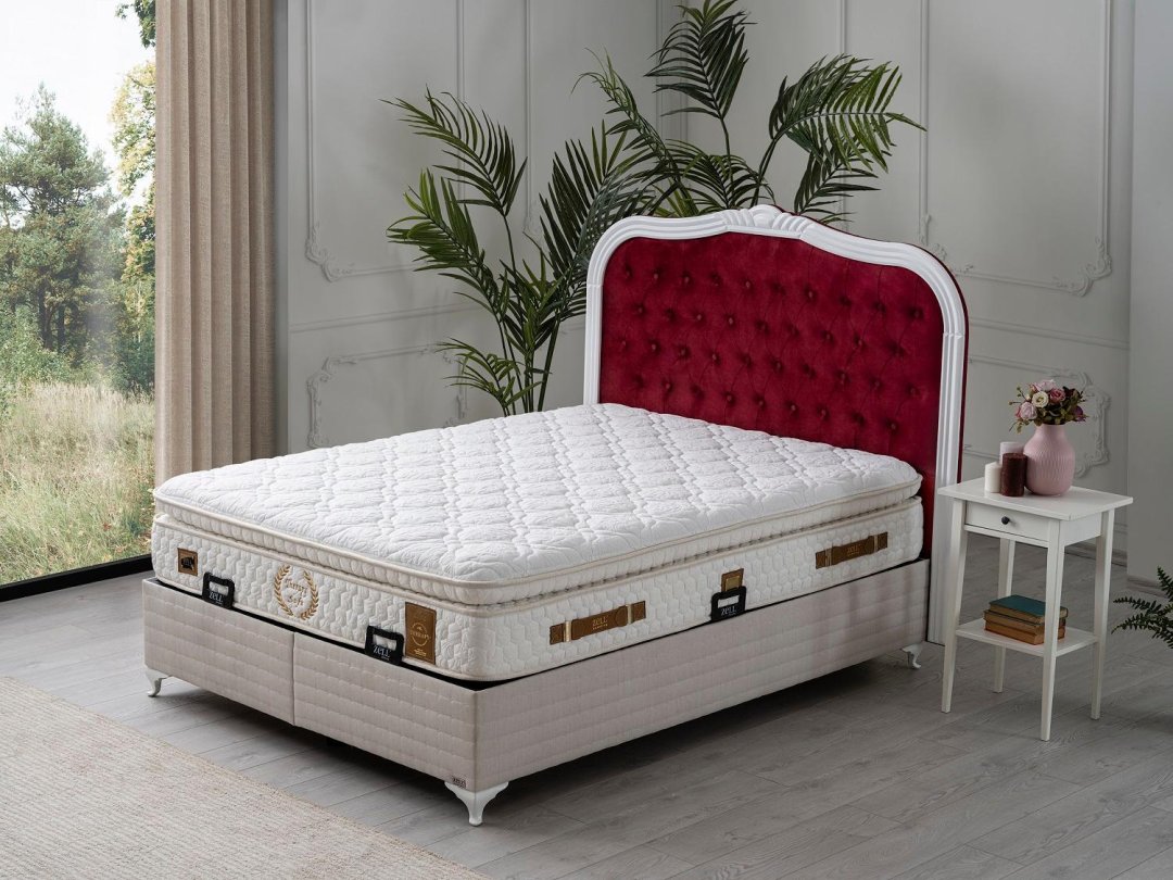 THERAPY SOFT BAZA
